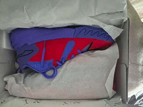 Puma scoot pred - puma,